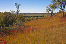 Ottawa Bluffs