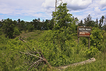 Paul Bunyan Savanna