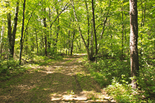 Paul Bunyan Savanna