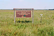 Plover Prairie — East Unit