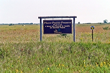 Plover Prairie — West Unit