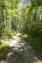 Potato Lake SNA