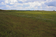 Prairie Coteau SNA