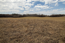 Prairie Creek WMA, Engeseth-Rinde Unit