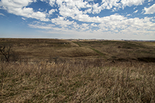 Prairie Creek WMA, Koester Prairie Unit