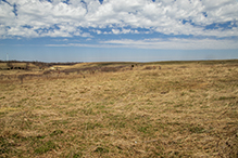 Prairie Creek WMA, Koester Prairie Unit