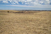 Prairie Creek WMA, Koester Prairie Unit