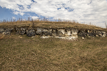 Prairie Creek WMA, Koester Prairie Unit