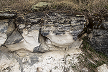 Prairie Creek WMA, Koester Prairie Unit