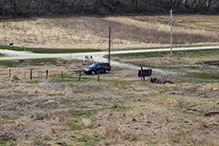 Prairie Creek WMA, Koester Prairie Unit