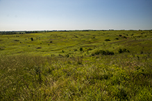 Prairie Creek WMA, Koester Prairie Unit