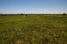 Prairie Creek WMA, Koester Prairie Unit