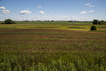 Prairie Creek WMA, Koester Prairie Unit