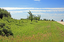 Racine Prairie SNA