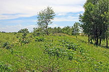 Racine Prairie SNA