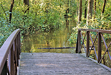 River Bend Nature Center