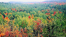 Superior Hiking Trail, Crosby-Manitou State Park to Caribou Falls State Wayside