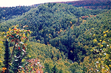 Superior Hiking Trail, Crosby-Manitou State Park to Caribou Falls State Wayside