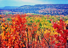 Superior Hiking Trail, Crosby-Manitou State Park to Caribou Falls State Wayside