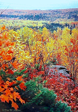 Superior Hiking Trail, Crosby-Manitou State Park to Caribou Falls State Wayside