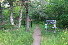Superior Hiking Trail, Kadunce River State Wayside to Judge C.R. Magney State Park
