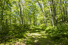 Savanna Portage State Park