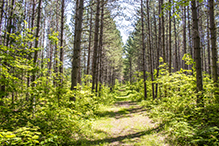 Savanna Portage State Park