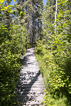 Savanna Portage State Park