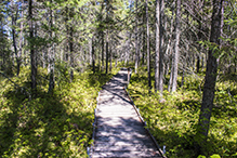 Savanna Portage State Park