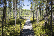 Savanna Portage State Park