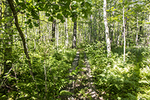 Savanna Portage State Park