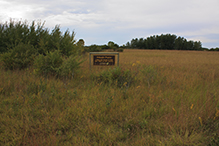 Schaefer Prairie