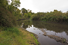 Schaefer Prairie