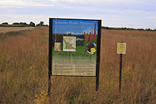 Schaefer Prairie