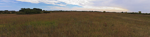 Schaefer Prairie