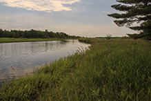 Schoolcraft State Park