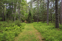 Schoolcraft State Park