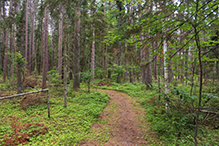 Schoolcraft State Park