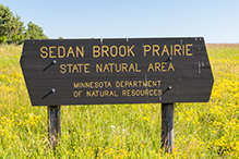 Sedan Brook Prairie SNA