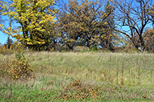 Seminary Fen SNA