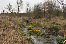 Seminary Fen SNA