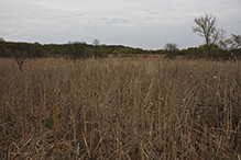 Seminary Fen SNA