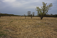 Seminary Fen SNA