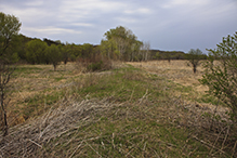 Seminary Fen SNA