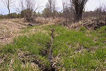 Seminary Fen SNA