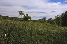 Seminary Fen SNA