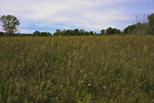 Seminary Fen SNA