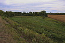 Seminary Fen SNA