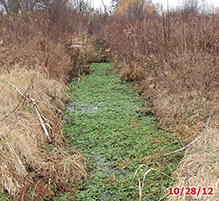 Seminary Fen SNA