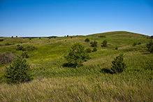 Sheepberry Fen